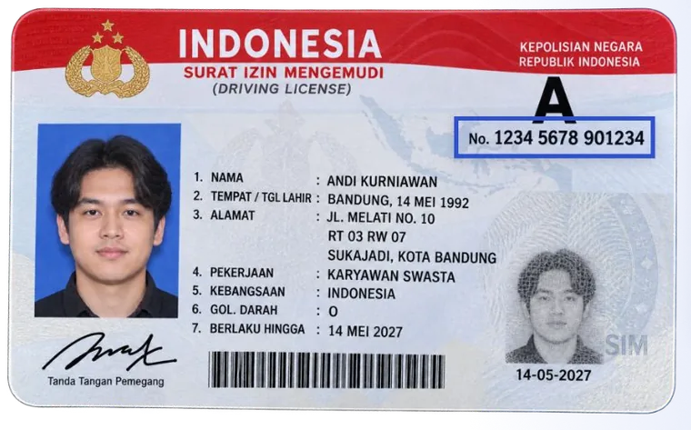 Driving license (illustration, fictional data)